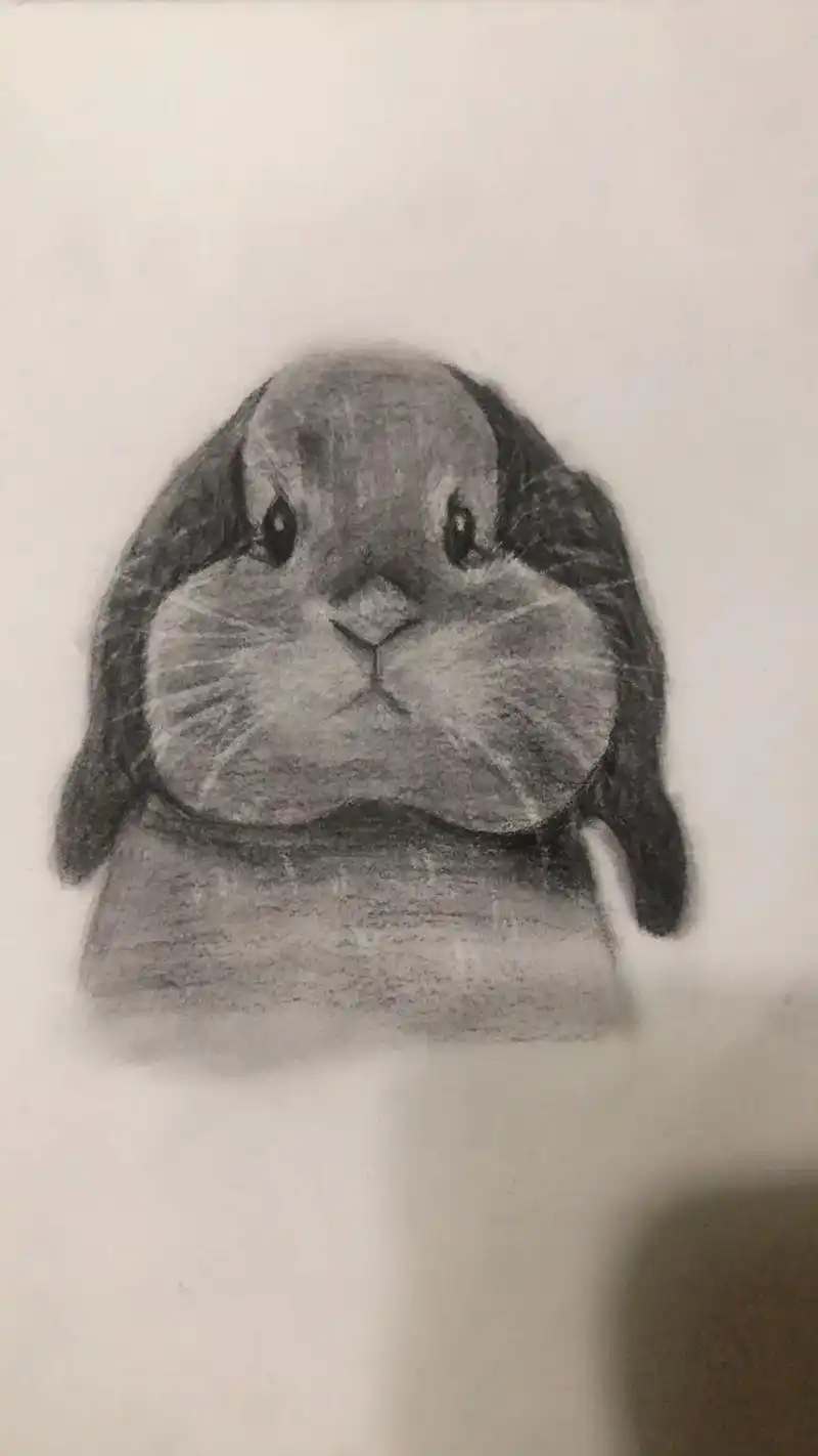 好难画呀#素描动物 #画渣日常 #画画使我快乐 #想画就画 - 抖音