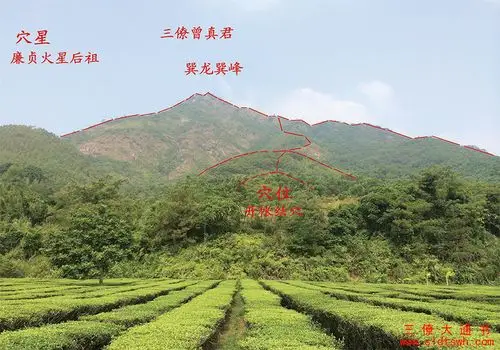 林氏坟墓作品案例将军坐帐形