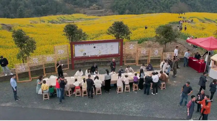 浙江龙泉千亩梯田里的共富经