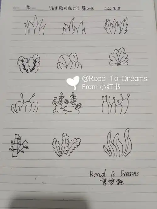 学简笔画的第20天草