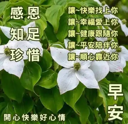 8张非常创意好看的友谊早上好问候图片带字温馨2022唯美夏天早安问候