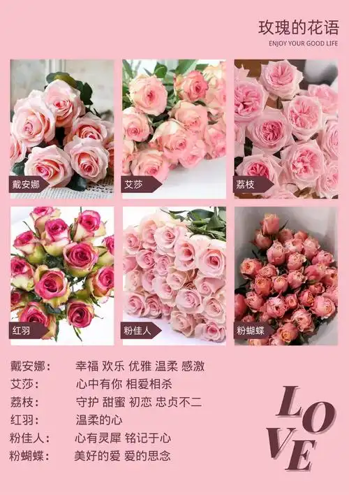 玫瑰颜色花语大全_玫瑰颜色花语大全 寓意