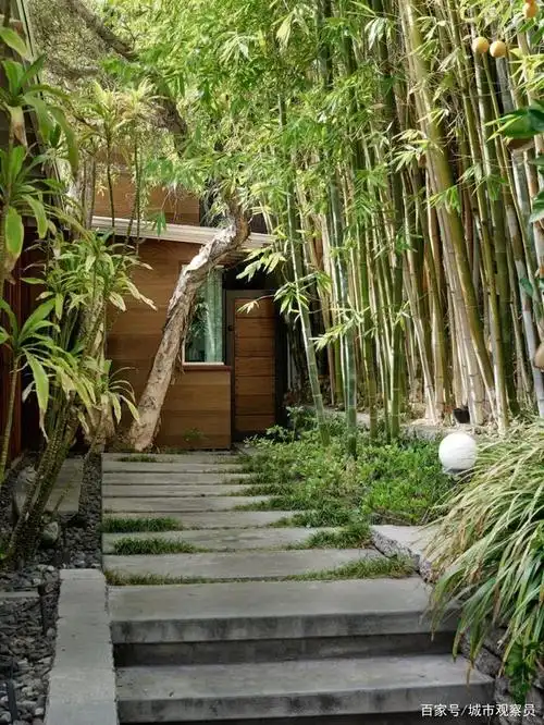 南方一线乡下自建房火了!网友:10年后农村的房子要高攀不起了!