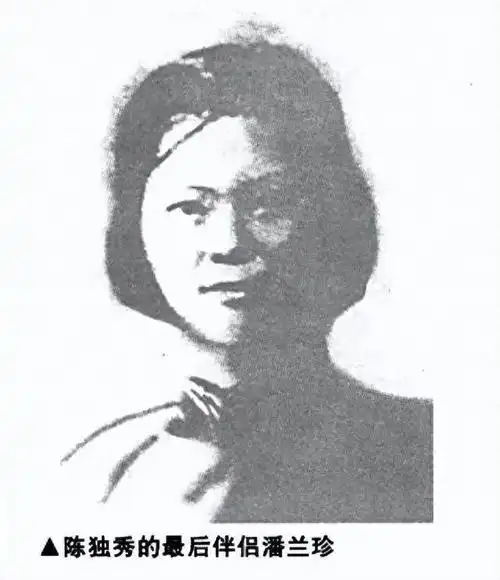 陈独秀晚年穷困临终前叮嘱小29岁的妻子可改嫁别动我这笔钱