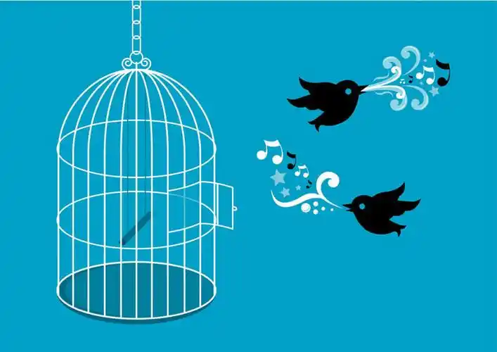 白天,侧面,数码,科技,鸟,飞翔,阴影,蓝色背景,飞行,网络,鸟类,笼子