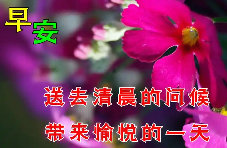 最漂亮早上好动态表情图片大全早晨好动图美图大全