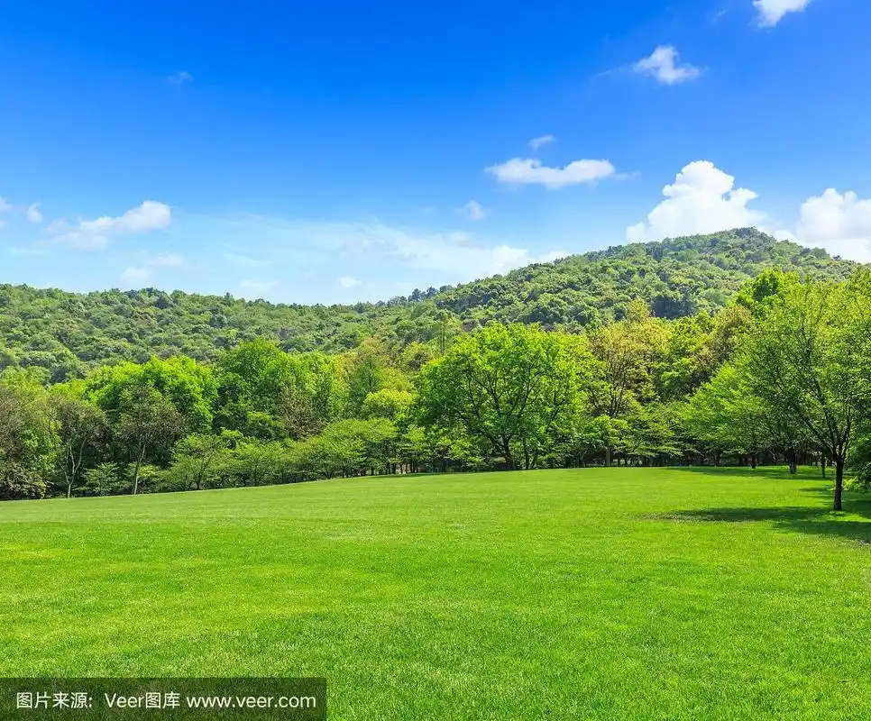 春天有绿草和山林