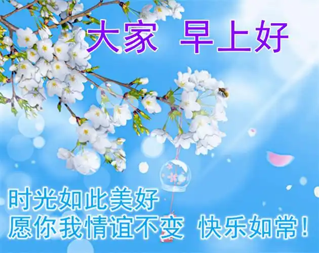 原创8张夏日最美早上好动态图片带字和鲜花创意好看的夏日清晨早安