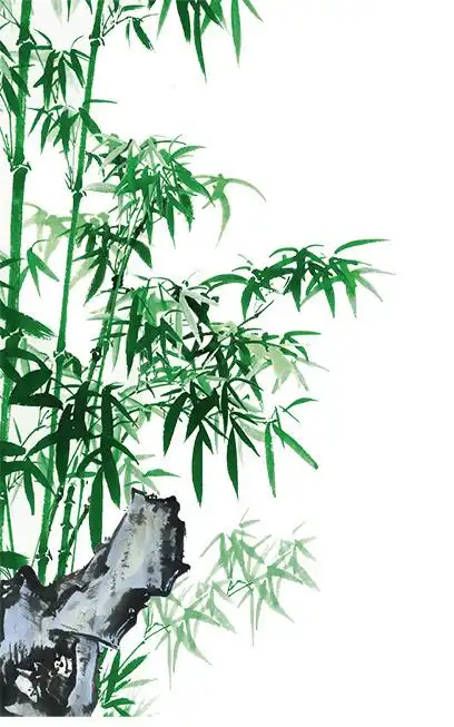 该作品主要内容是竹子,尺寸为408px*653px,格式为png,颜色模式是rgb