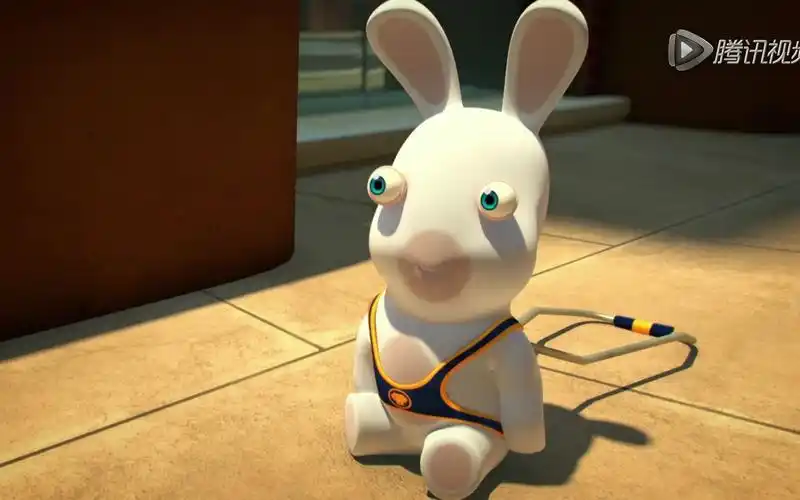 疯狂的兔子第二季导盲兔兔子与导盲犬交换身份带着主人大冒险