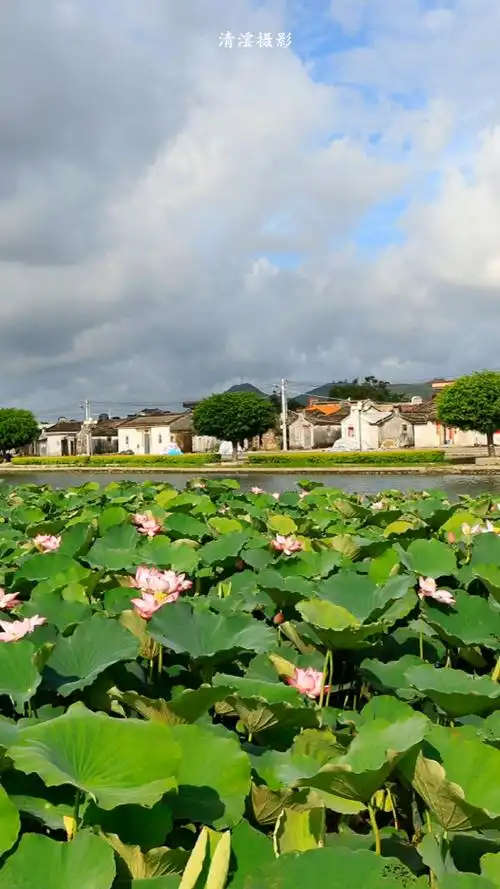 海丰联安荷塘乡村广东汕尾