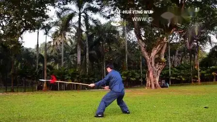 陈氏太极枪71式(chen-style tai chi spear 71 form)