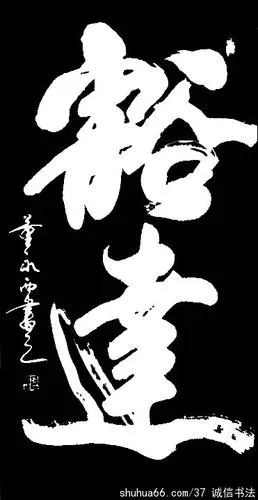 dsc05773_豁达 3尺0