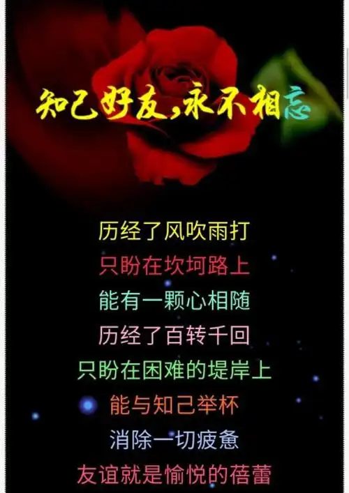 为友谊干杯,亲爱的朋友,今生与你相遇,相识不后悔!