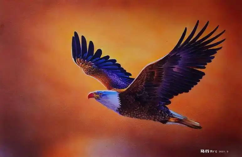 卡达三菱彩铅,水彩颜料混搭绘做雄鹰就要展翅高飞,为梦想而飞!