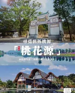 常德桃花源门票