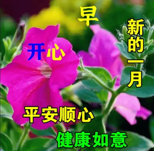 2021年9月1日星期三清晨早上好问候祝福图片周三最新早安问候祝福图片