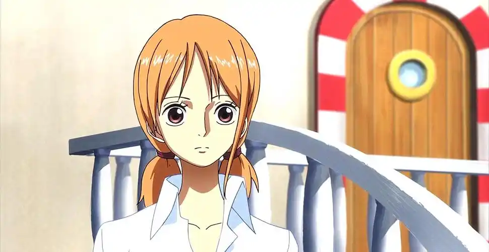 海贼王的妮可罗宾,历史学家妮可罗宾