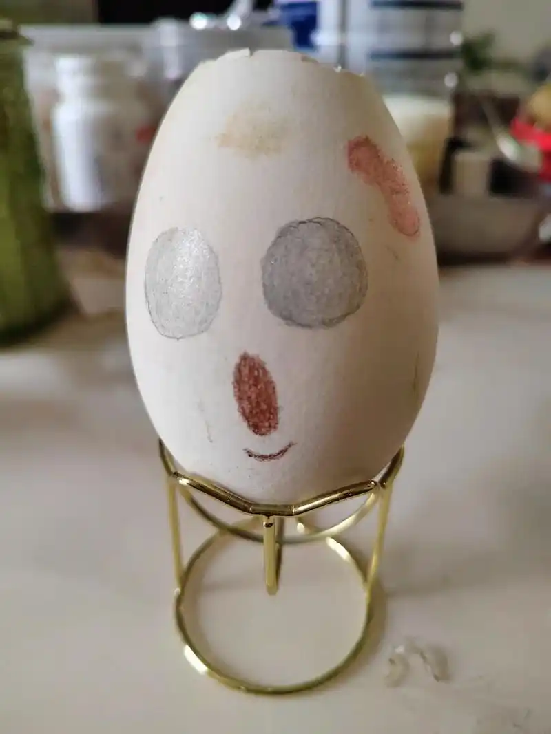 鸡蛋壳绘画 #我的城市下雨了 ,闲着没事做一组蛋壳表情包送 - 抖音