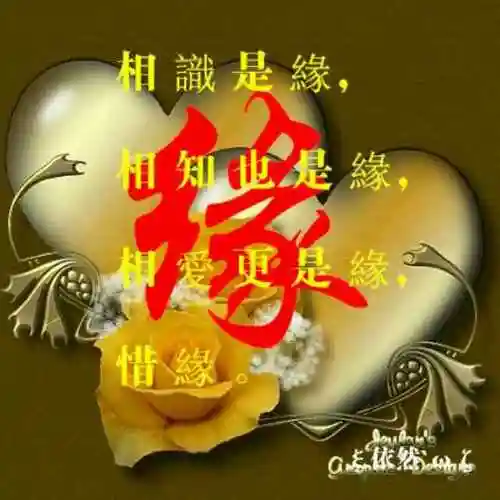 杨银龙5简介:真爱一生5关注5粉丝1获赞ta还没有发布过任何视频