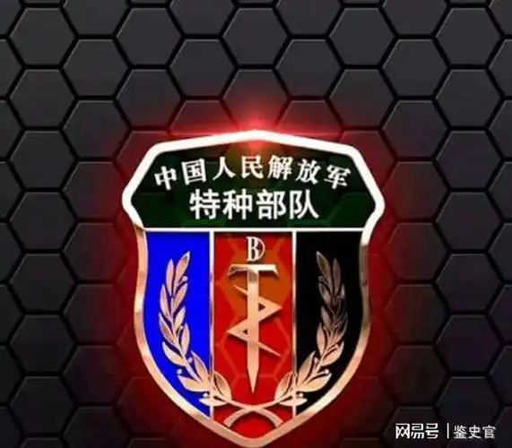 中国解放军特种部队的符号,详细讲解|作战部队|特种兵|奥运会_网易