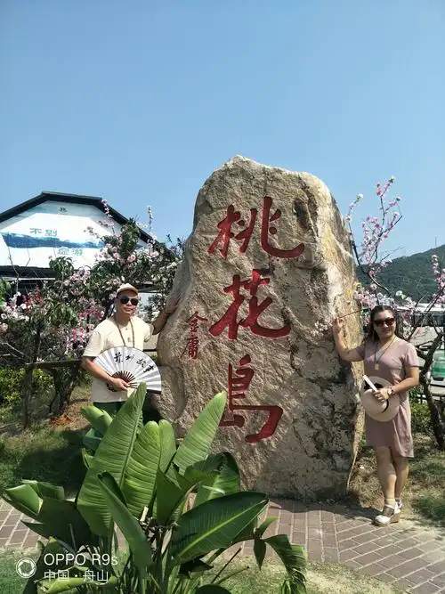 舟山桃花岛雅集