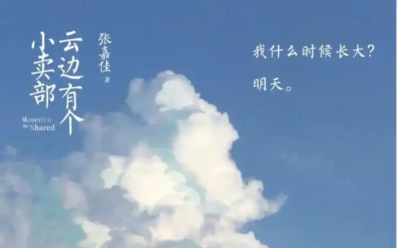 小说《云边有个小卖部》阅读#程霜,刘十三,球球,王莺莺(七)