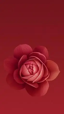 好看的壁纸:红色系