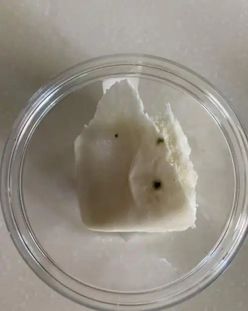 馒头发霉的过程