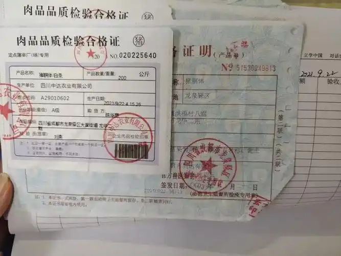 食刻坚守护佑舌尖安全成都栢基国际pyp幼儿园食品安全工作纪实