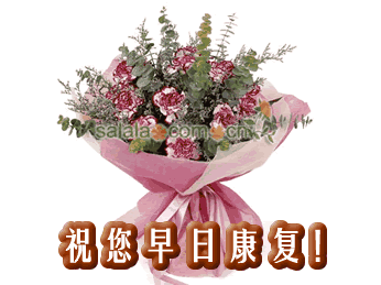 众诗友祝吕赵南先生康复专辑