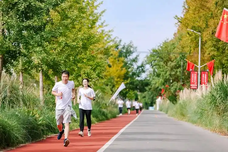 运动不止,上海健步走活动地点推荐:乐活营地郊野公园店_压力_大自然