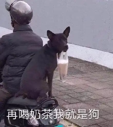 搞笑再喝奶茶我就是狗