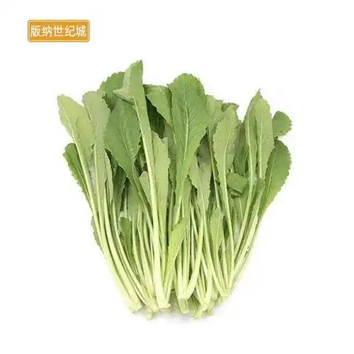 【bn】小青菜/小苦菜 约500g/份