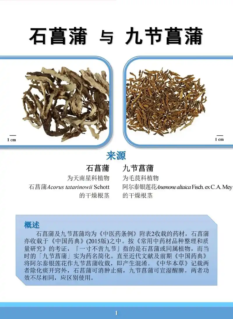 易混淆药材外观与显微鉴定——#石菖蒲 与 #九节菖蒲     - 抖音