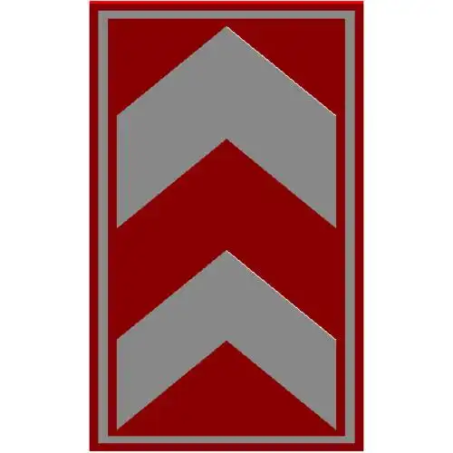 两侧通行标志.rfa