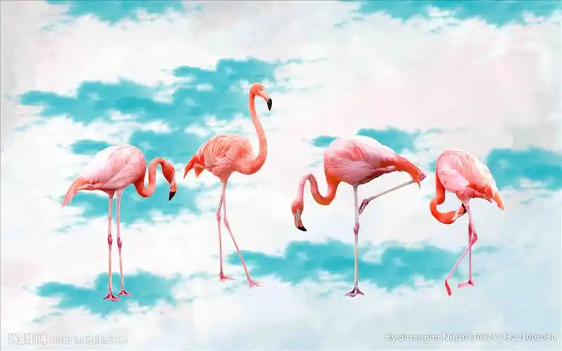 手绘火烈鸟壁画图片