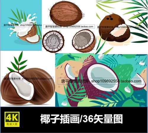 椰子椰壳椰肉椰汁空壳插画矢量可编辑eps文件ai格式