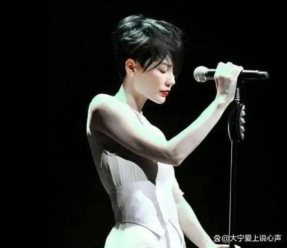 演唱会主办方事先公布了王菲的歌单,这进一步增加了人们的期待.