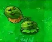 西瓜金馆长(植物大战僵尸)