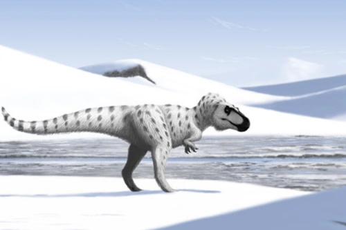 白熊龙又被称为北极暴龙,整个体型并不算很大,只有