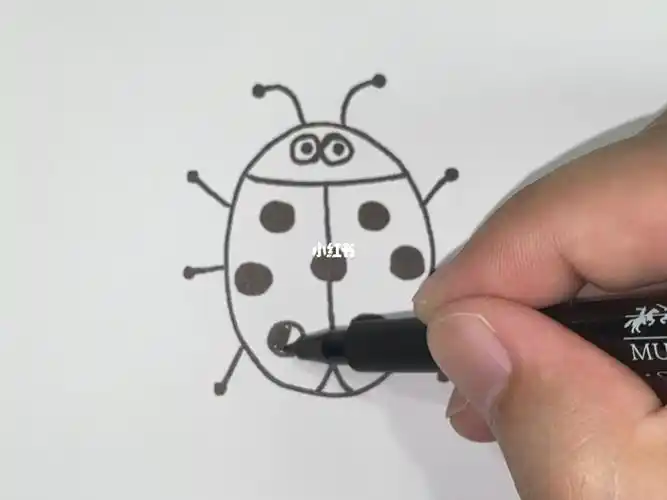 如何画七星瓢虫