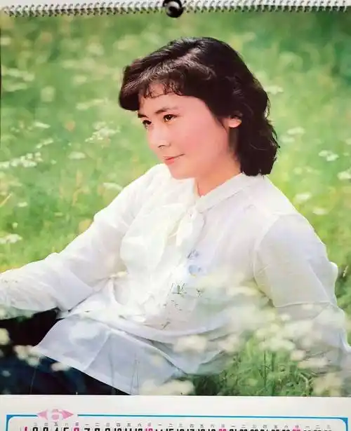 1982年女演员挂历,80年代的美女演员张瑜,林芳兵,王馥荔_封面_银幕