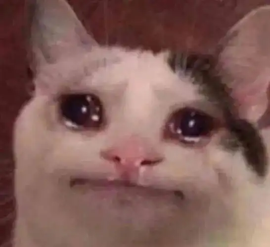 猫咪哭的样子好像大明湖畔的夏雨荷第83期喵表情