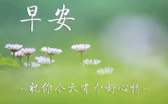 冬季早安唯美的短语,非常好看的早上好问候美图