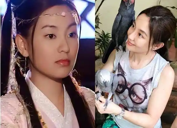 苏有朋释小龙参演的热剧,胡小冉凭两个镜头成就经典,却从此退圈