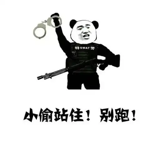 小偷站住!别跑!