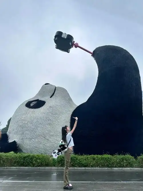 熊猫谷 仰天窝 都江堰一日游