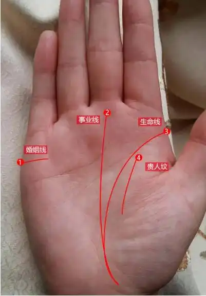 事业线自手腕处开始向上延伸,一直穿过智慧线到达感情线,与手掌上其他