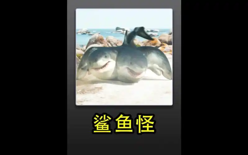 六头鲨鱼00它有六个脑袋的鲨鱼0598